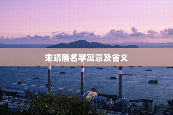 宋靖唐名字寓意及含义