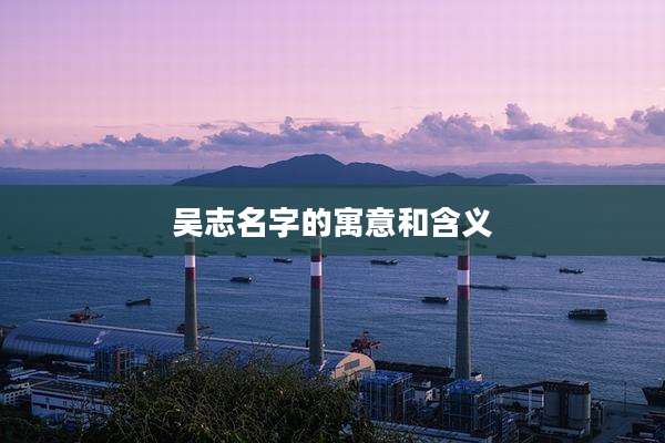 吴志名字的寓意和含义