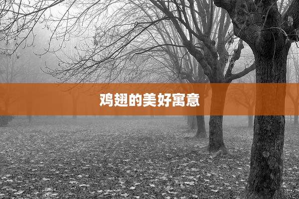 鸡翅的美好寓意