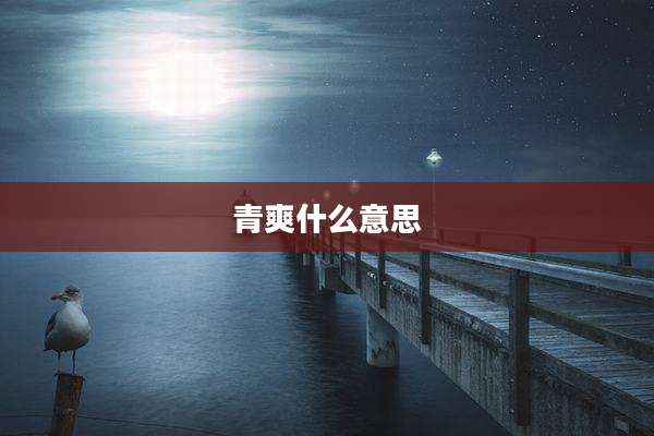 青爽什么意思