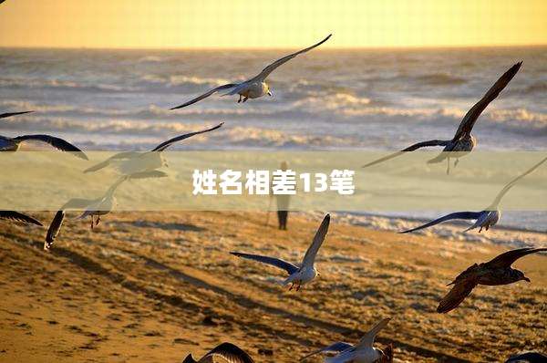 姓名相差13笔