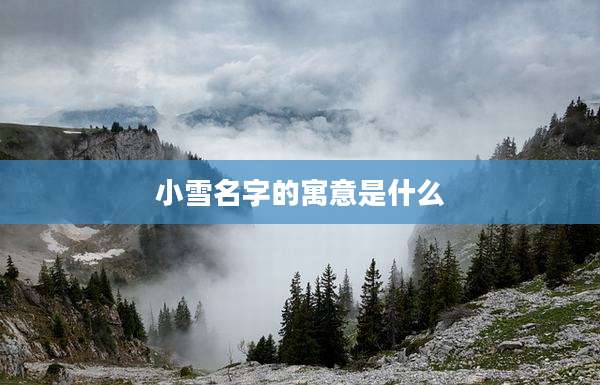 小雪名字的寓意是什么