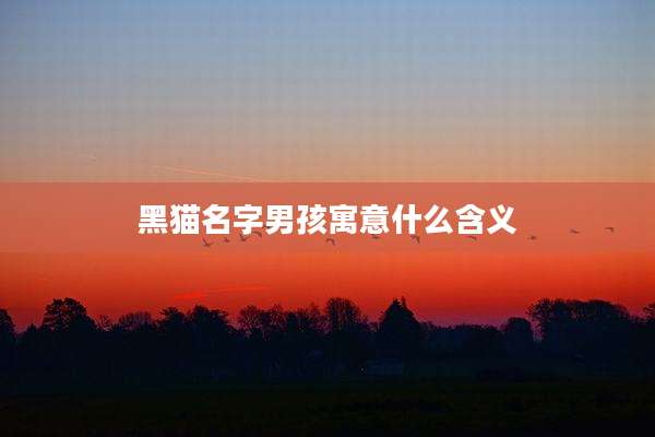 黑猫名字男孩寓意什么含义