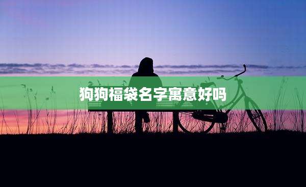 狗狗福袋名字寓意好吗