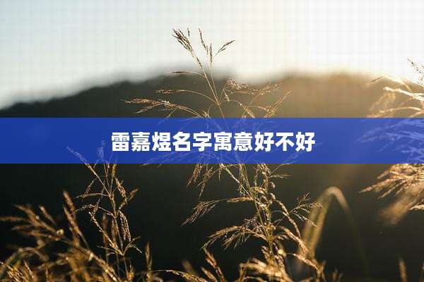 雷嘉煜名字寓意好不好