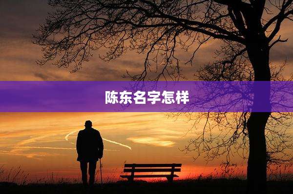 陈东名字怎样