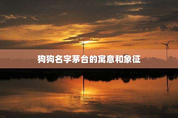 狗狗名字茅台的寓意和象征