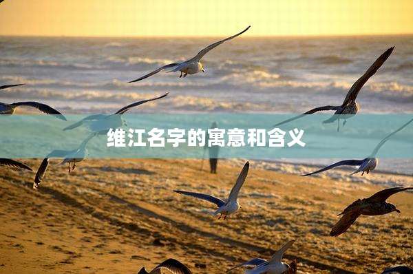 维江名字的寓意和含义