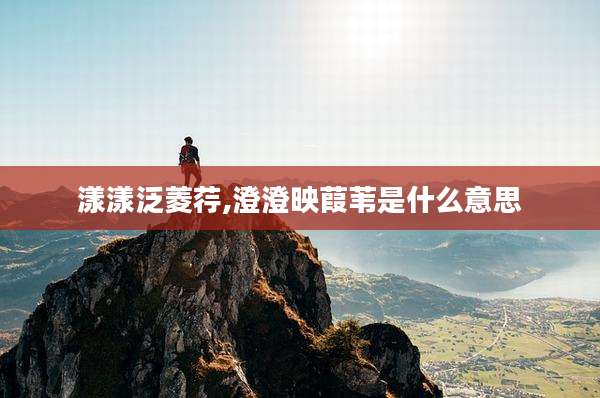 漾漾泛菱荇,澄澄映葭苇是什么意思