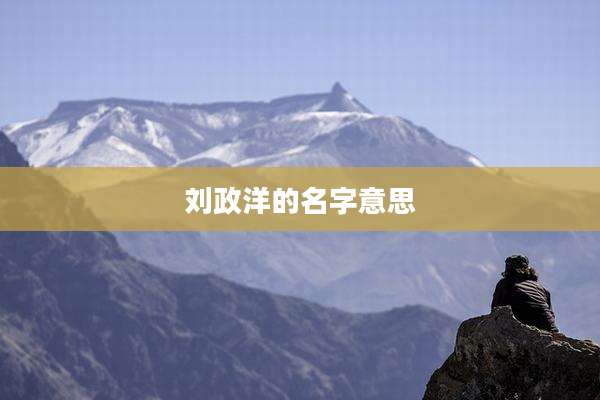 刘政洋的名字意思