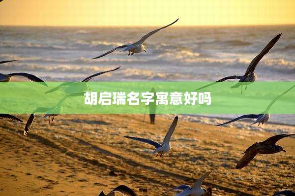 胡启瑞名字寓意好吗