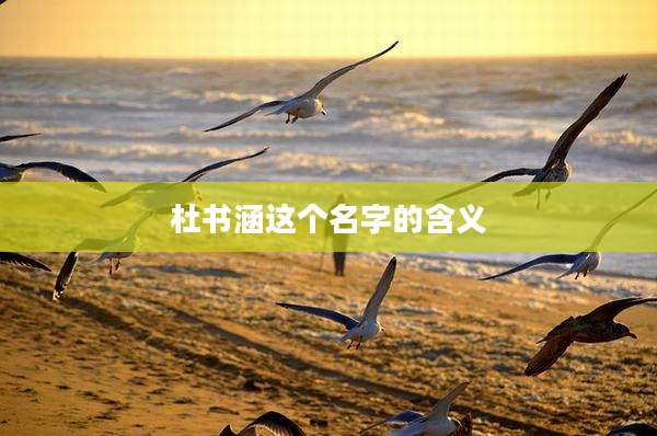 杜书涵这个名字的含义