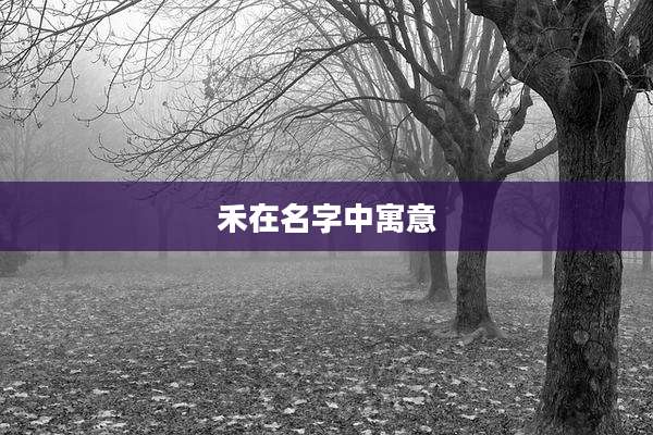 禾在名字中寓意