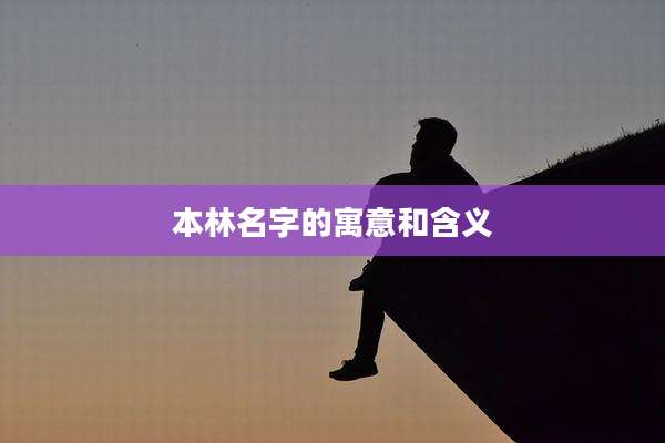 本林名字的寓意和含义