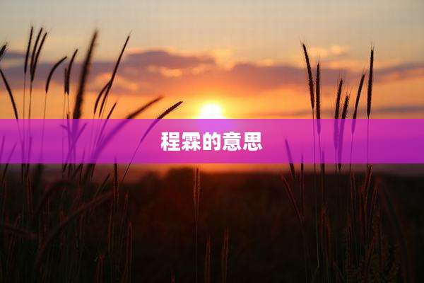 程霖的意思