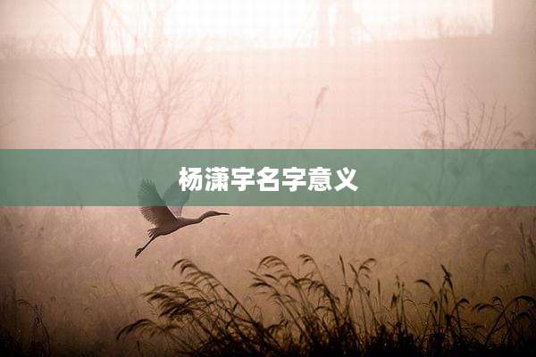 杨潇宇名字意义