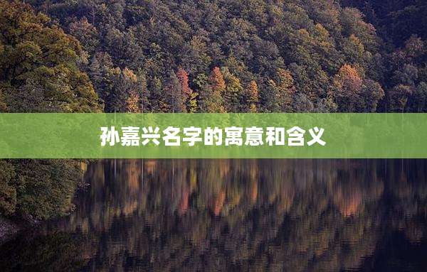 孙嘉兴名字的寓意和含义