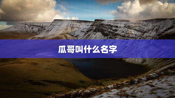 瓜哥叫什么名字