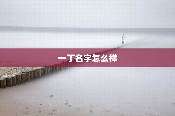 一丁名字怎么样