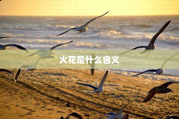 火花是什么含义