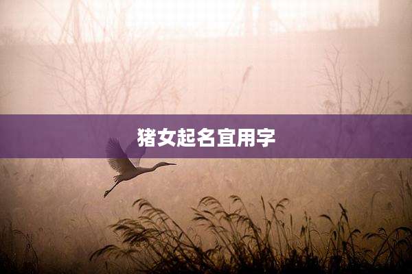 猪女起名宜用字