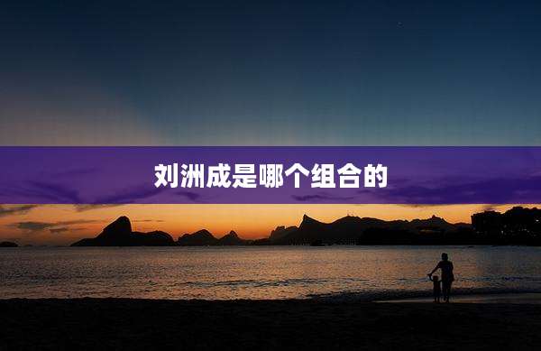 刘洲成是哪个组合的