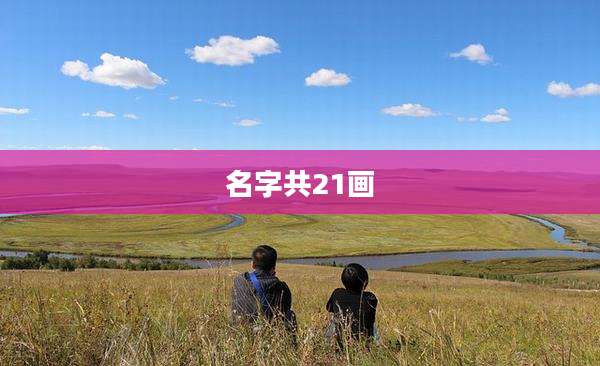 名字共21画