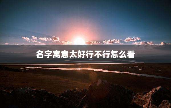 名字寓意太好行不行怎么看