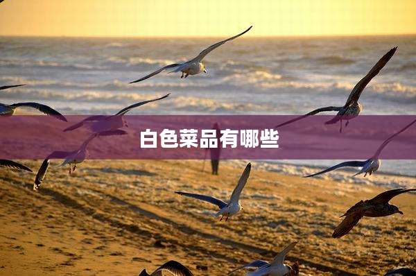白色菜品有哪些