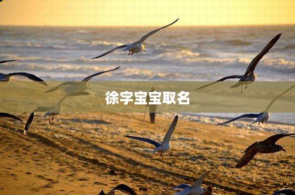 徐字宝宝取名