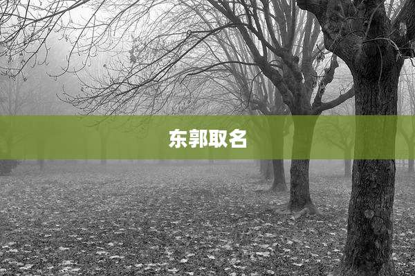 东郭取名