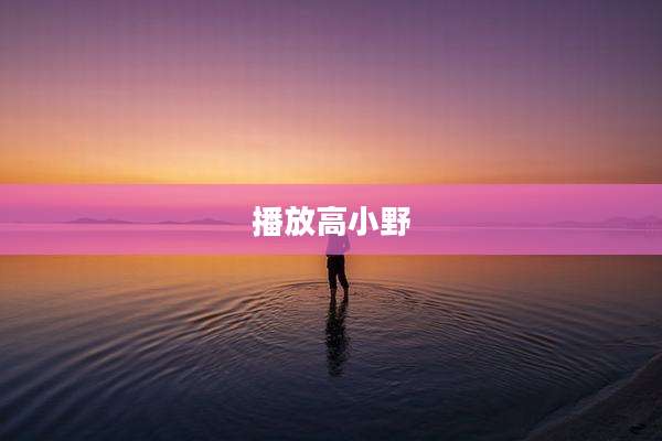 播放高小野