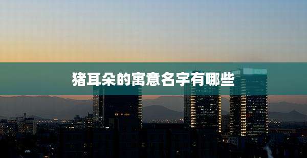 猪耳朵的寓意名字有哪些