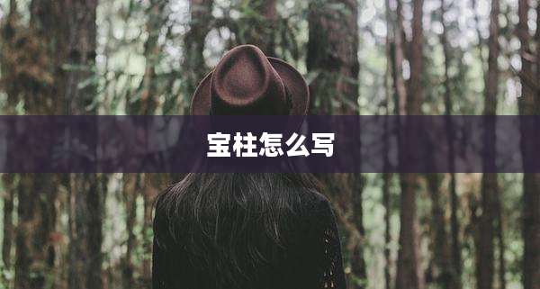 宝柱怎么写