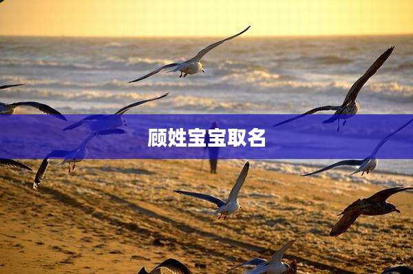 顾姓宝宝取名