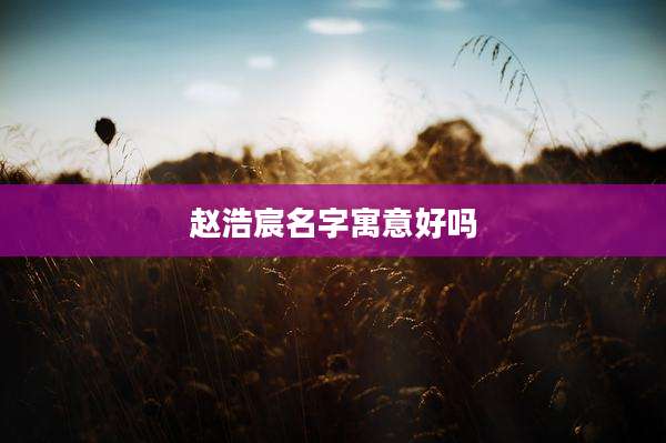 赵浩宸名字寓意好吗
