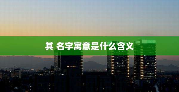 其 名字寓意是什么含义
