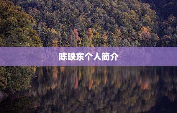 陈映东个人简介