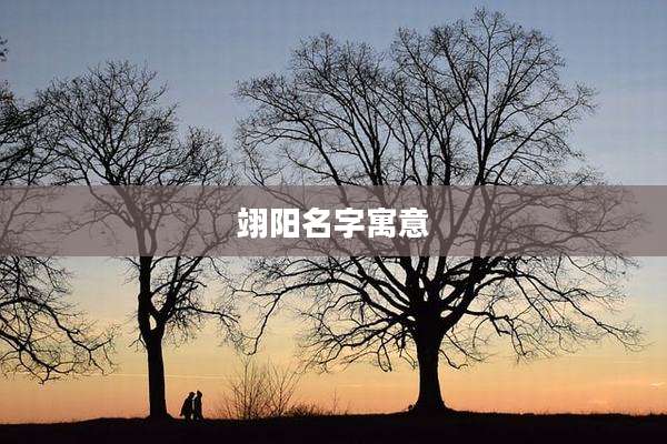 翊阳名字寓意