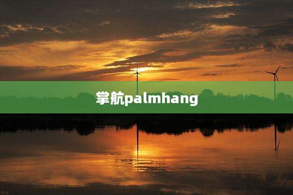 掌航palmhang