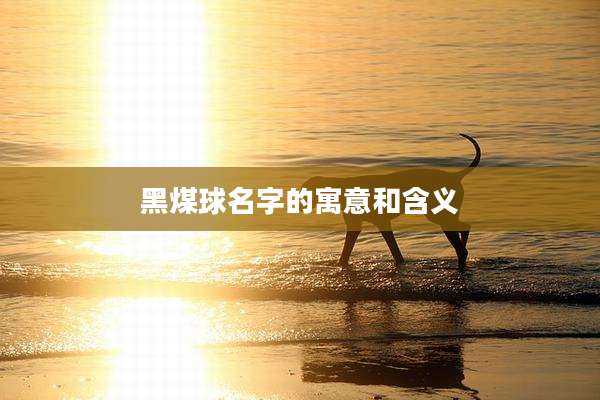 黑煤球名字的寓意和含义