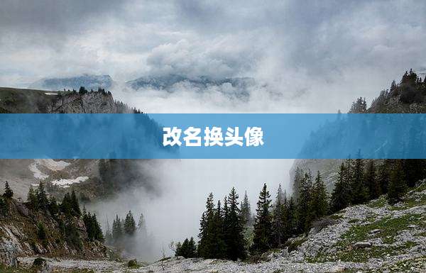 改名换头像