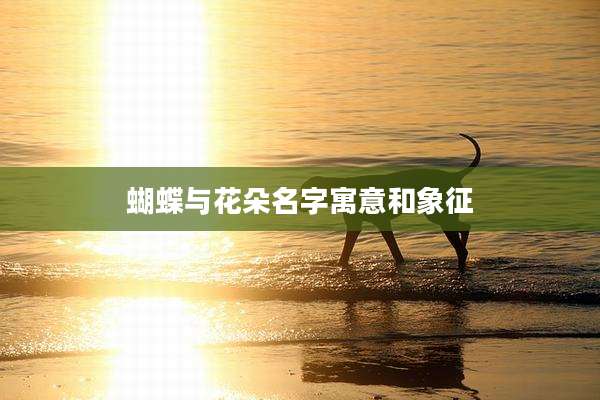 蝴蝶与花朵名字寓意和象征