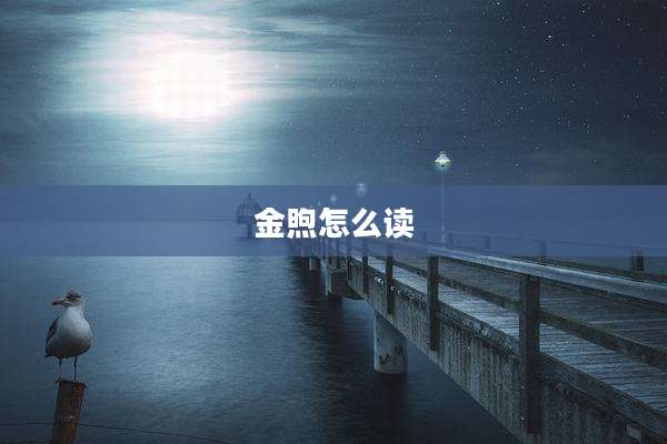 金煦怎么读