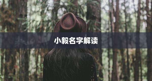 小毅名字解读