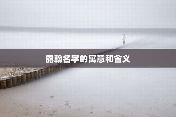露翰名字的寓意和含义