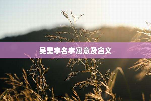 吴昊字名字寓意及含义