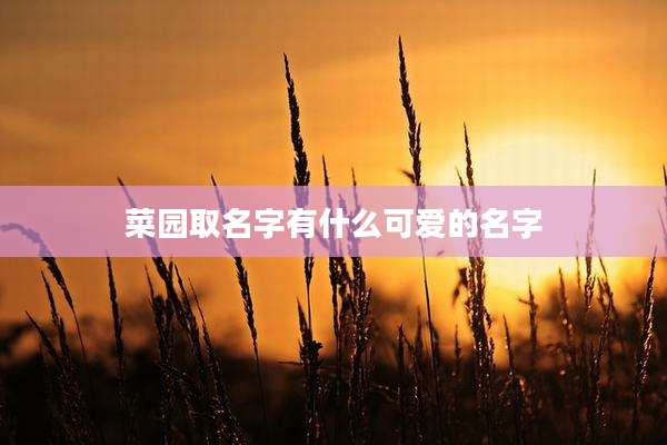 菜园取名字有什么可爱的名字