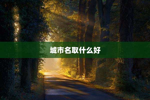 城市名取什么好