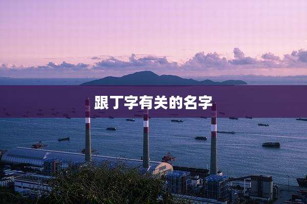 跟丁字有关的名字